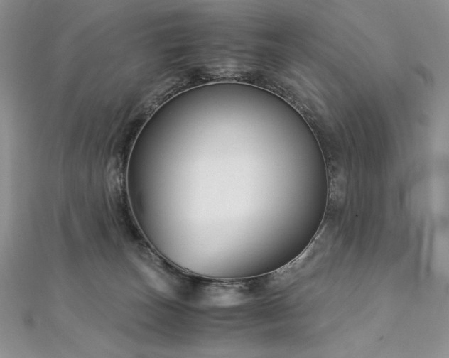 X0000113140179200909041216