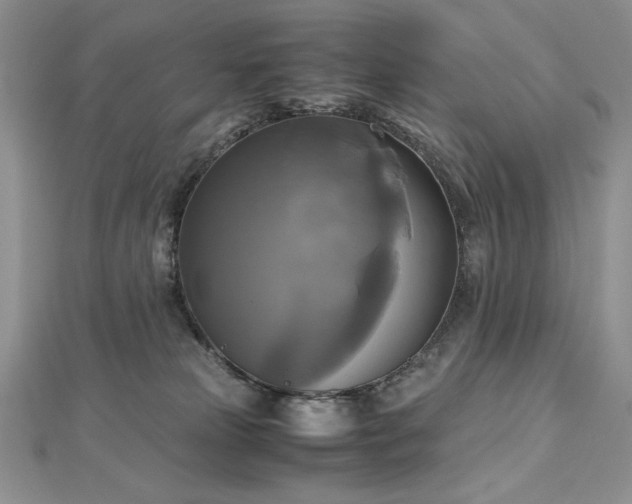 X0000113140181200909041216