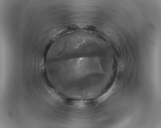 X0000113140182200909041216