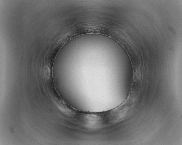 X0000113140183200909041216