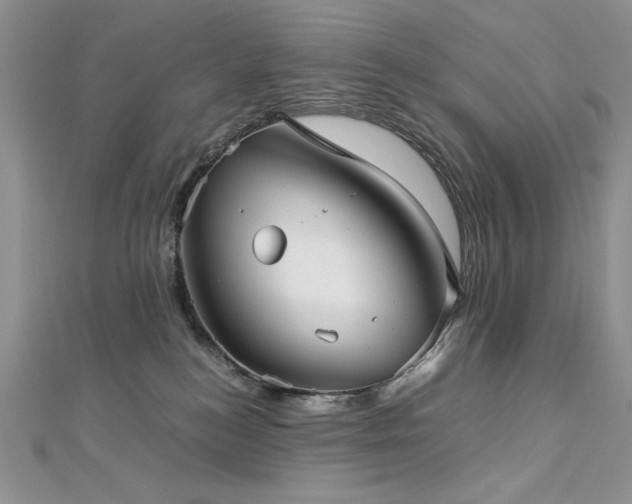 X0000113140184200909041216