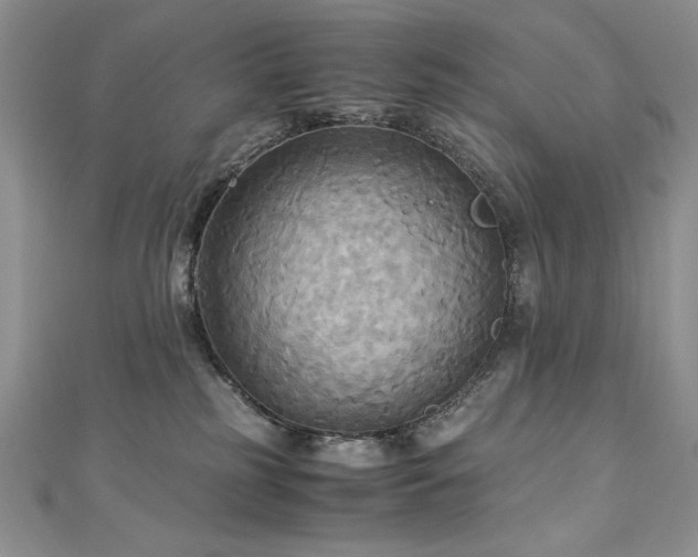 X0000113140185200909041216