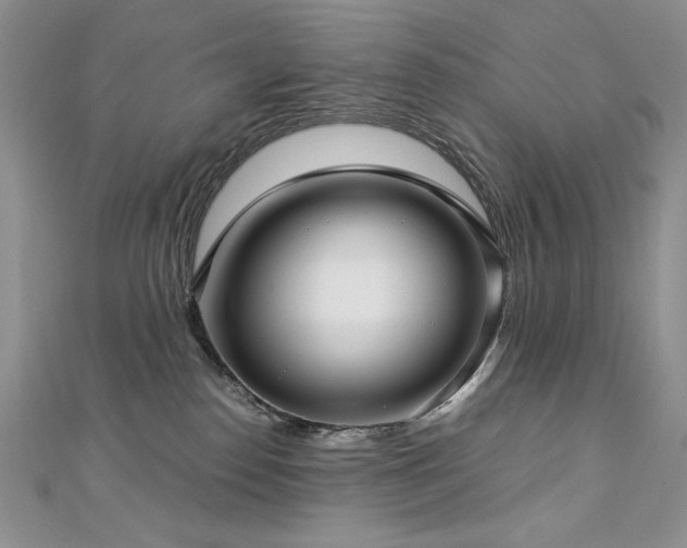 X0000113140186200909041216