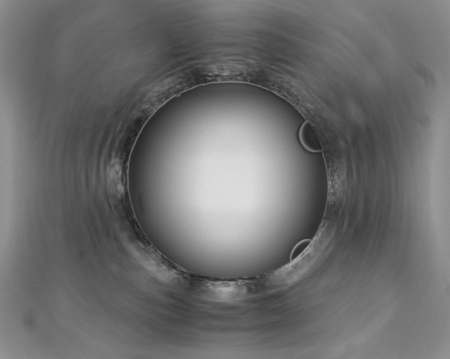 X0000113140187200909041216