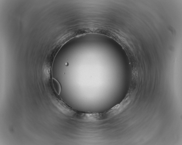 X0000113140188200909041216