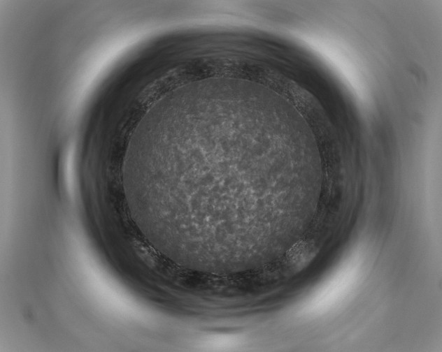 X0000113140189200909041216