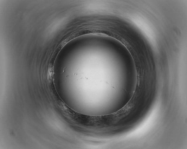 X0000113140190200909041216