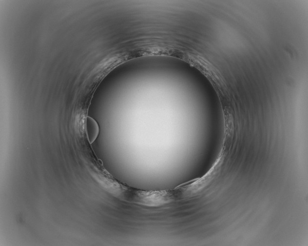 X0000113140191200909041216