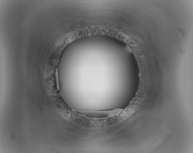 X0000113140192200909041216