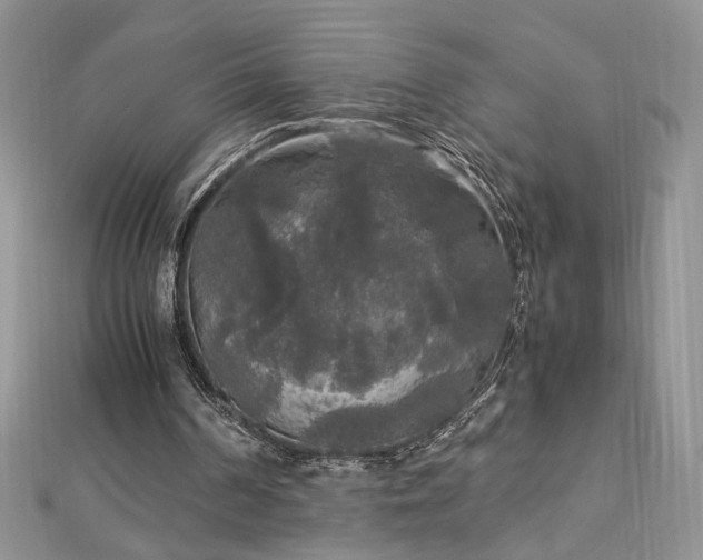 X0000113140194200909041215