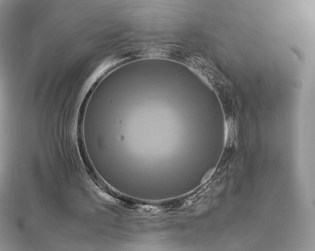 X0000113140195200909041215