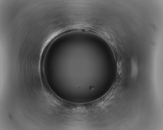 X0000113140196200909041215