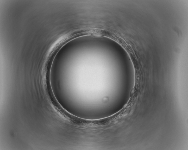 X0000113140197200909041215