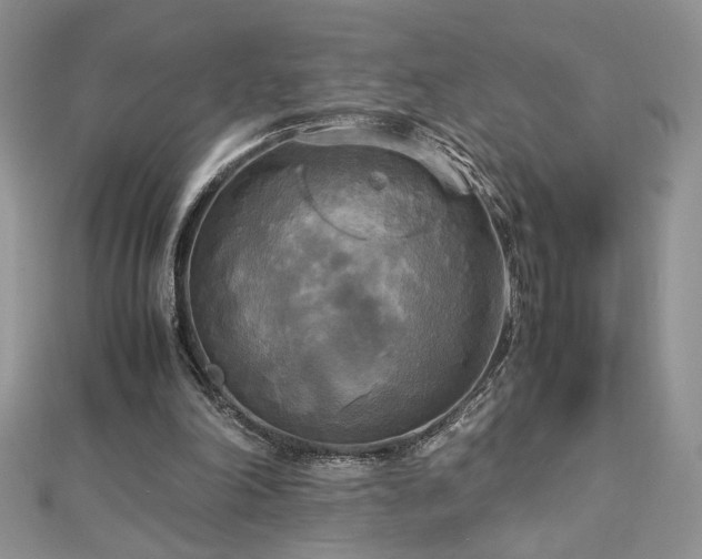 X0000113140198200909041215