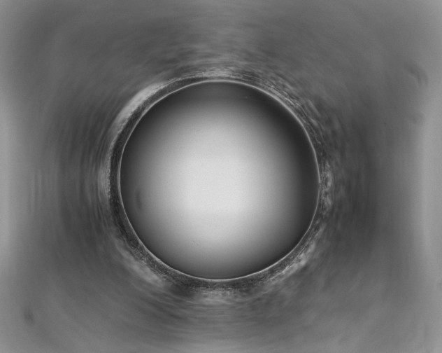 X0000113140200200909041215