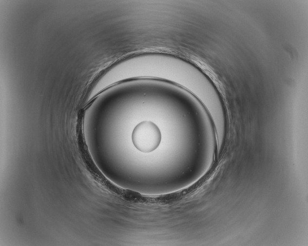 X0000113140201200909041215