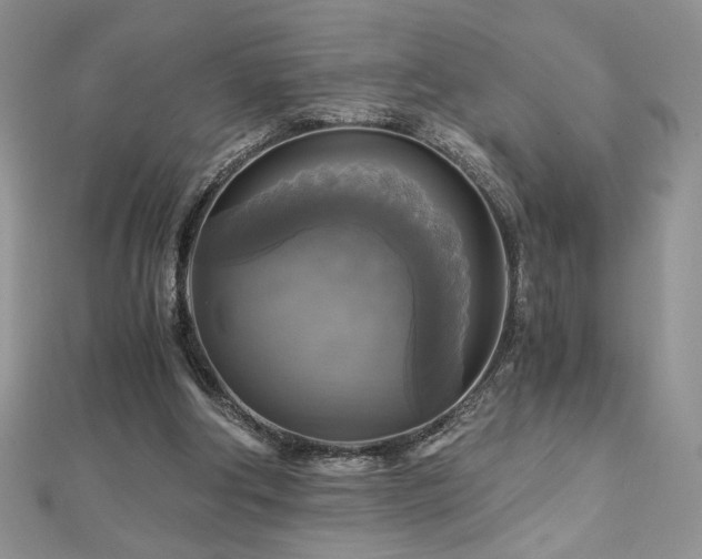 X0000113140202200909041215