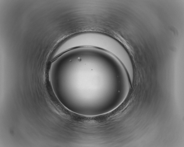 X0000113140203200909041215