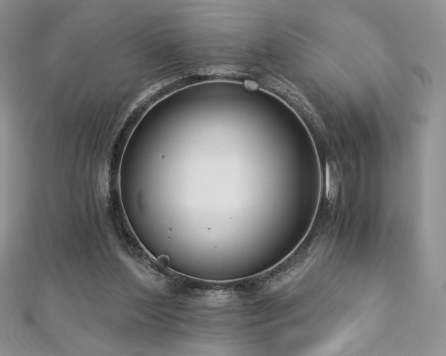 X0000113140204200909041215