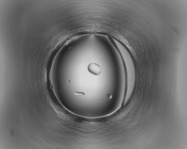 X0000113140205200909041215