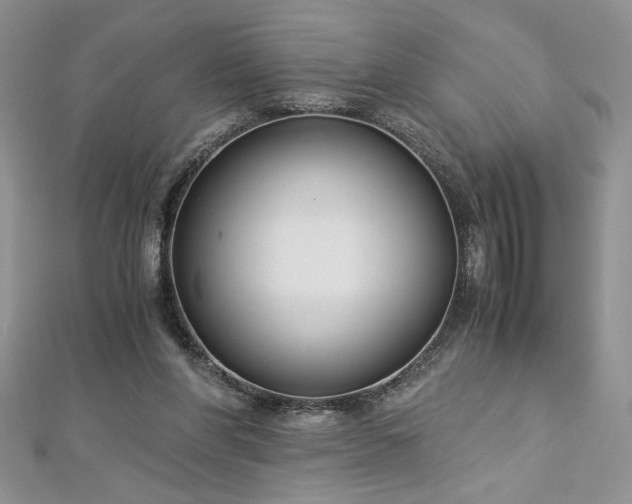 X0000113140206200909041215