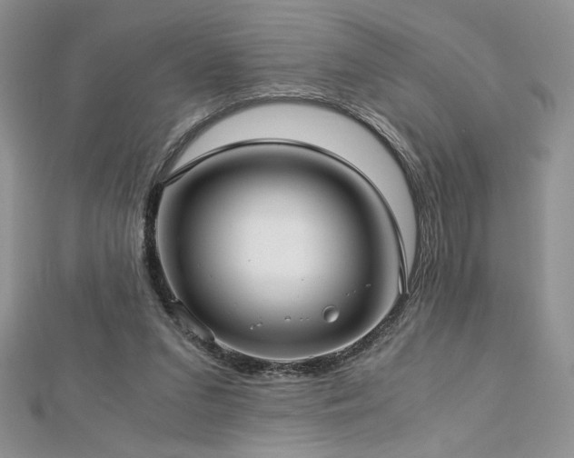 X0000113140207200909041215