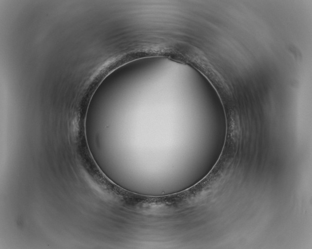 X0000113140208200909041215