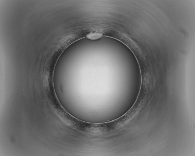 X0000113140209200909041215