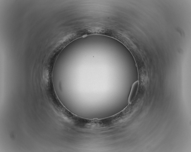 X0000113140211200909041215