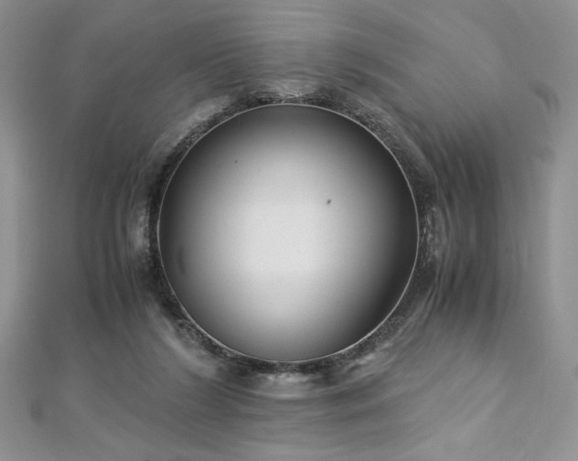 X0000113140212200909041215