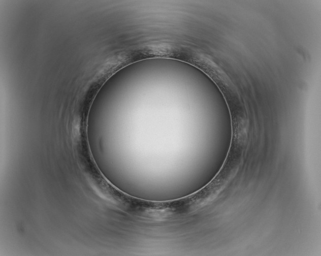 X0000113140213200909041215