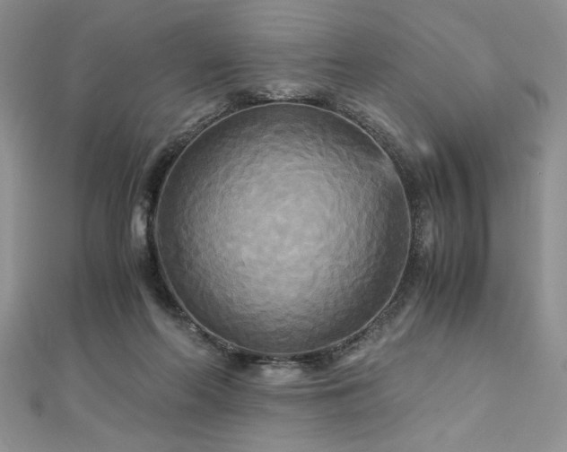 X0000113140214200909041215