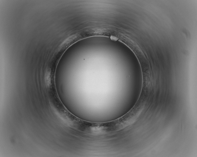 X0000113140216200909041215