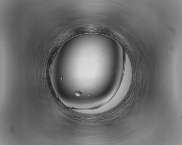 X0000113140217200909041215