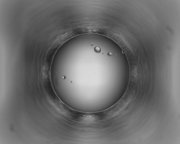 X0000113140218200909041215