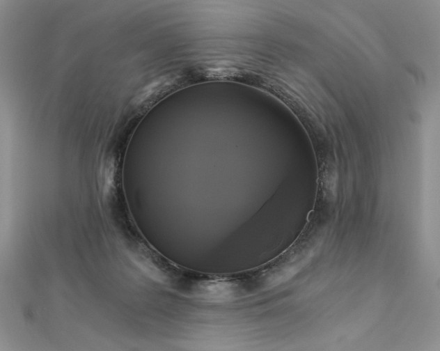 X0000113140219200909041215