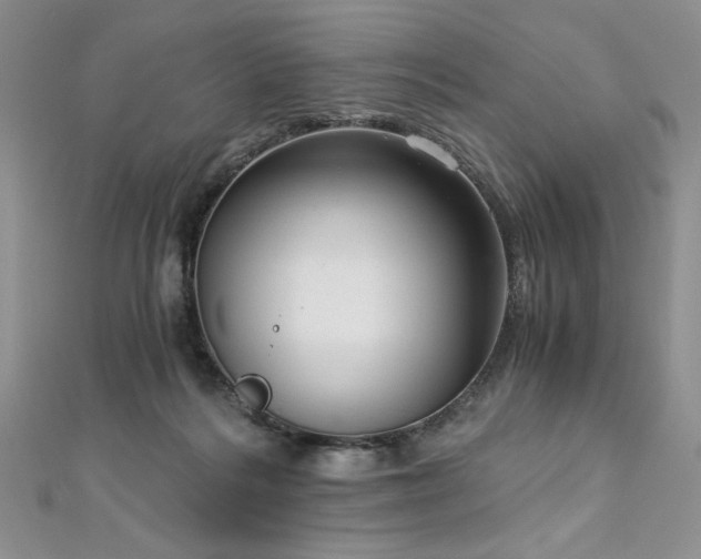 X0000113140220200909041215