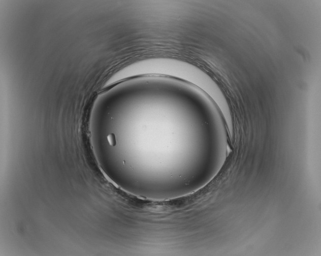 X0000113140221200909041215