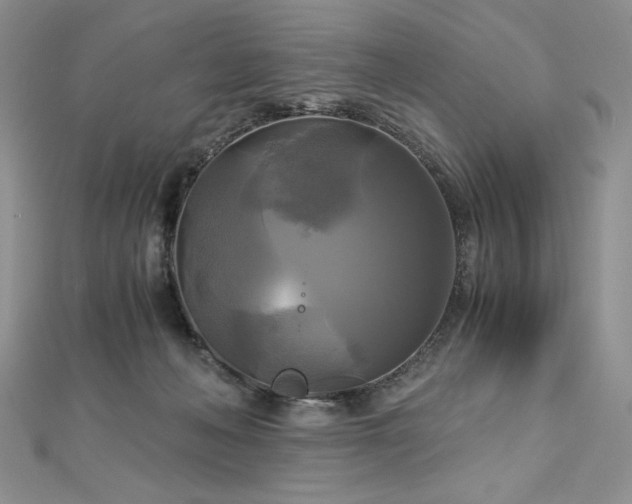 X0000113140222200909041215