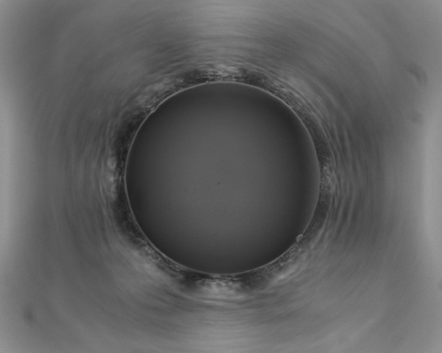 X0000113140223200909041215