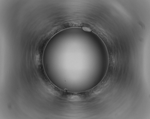 X0000113140224200909041215