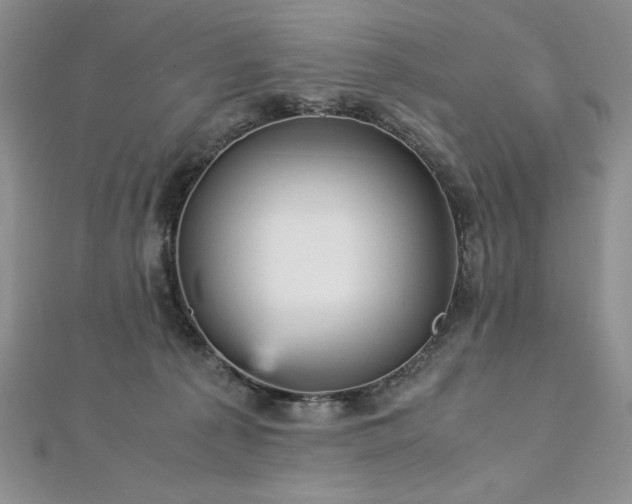 X0000113140225200909041215