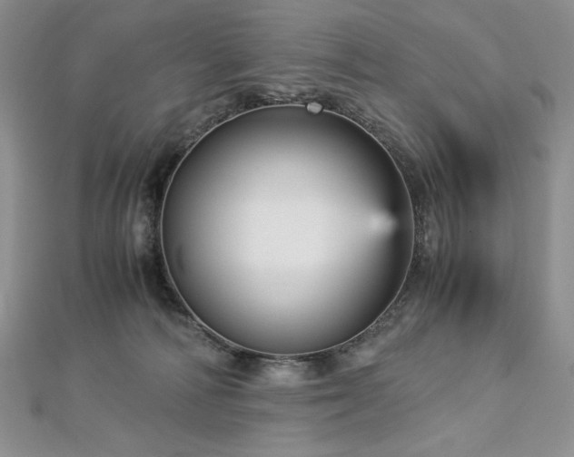 X0000113140226200909041215