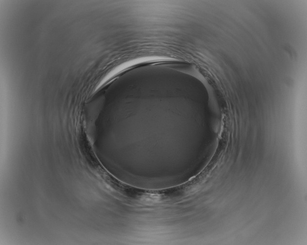 X0000113140227200909041215