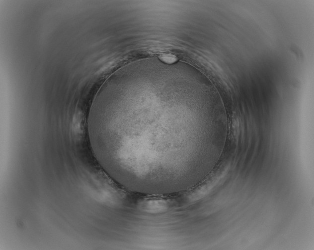 X0000113140228200909041215