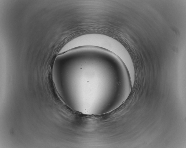 X0000113140229200909041215