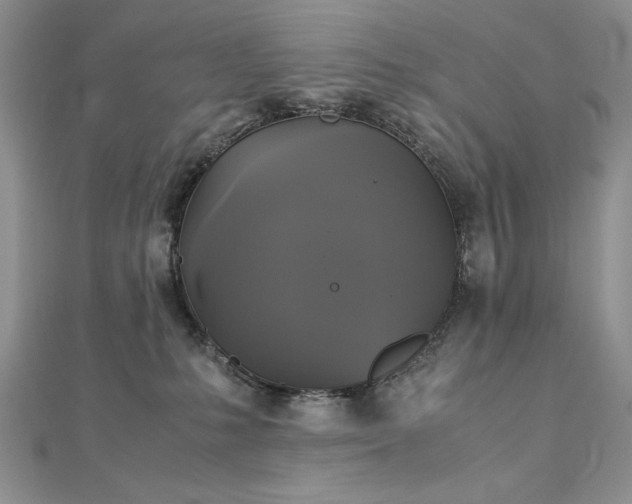 X0000113140231200909041215