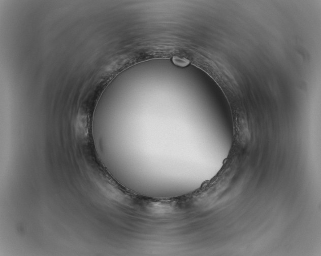 X0000113140232200909041215