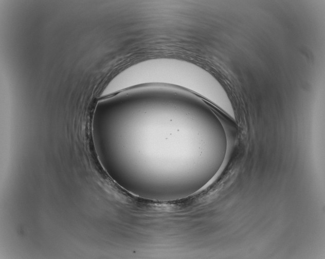 X0000113140233200909041215