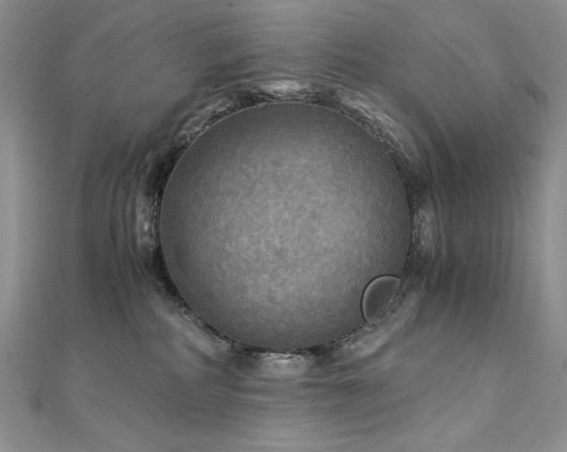 X0000113140234200909041215